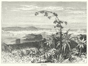 Havana (gravür) by English School