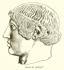 Apollon Başkanı by English School