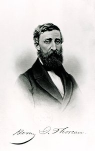 Henry David Thoreau (1817-62) by English School