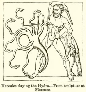 Hydra