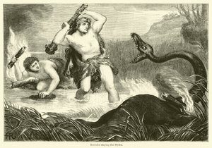 Hydra