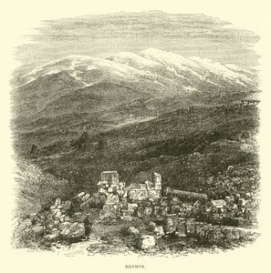 balıkçıl by English School