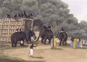 Hint Fil Tuzağı, pub. Edward Orme tarafından by English School