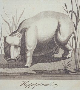 Aralık 1772