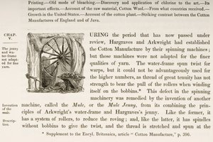 Historiated initial D, from a book on British Cotton Manufacturing  by English School