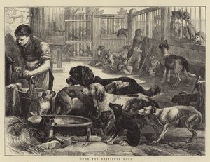 Yoksul Köpekler Evi (gravür) by English School