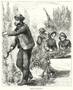 Şerbetçiotu toplama (gravür) by English School