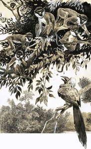 Hornbill ve maymunlar by English School