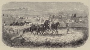 Roma Campagna