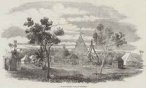Bahçıvanlık Fete, Colombo