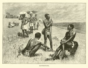 Hottentot