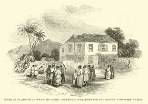 Bay Knibb