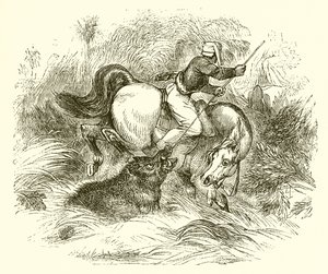 yaban domuzu nasıl avlanır by English School