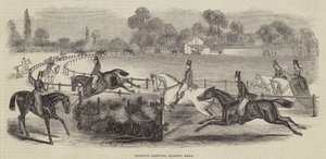 Av Alanları, Harrow Yolu by English School