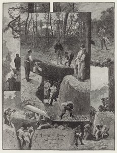 Stanford Park
