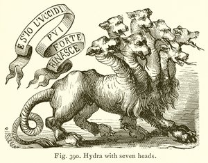 Yedi Başlı Hydra by English School