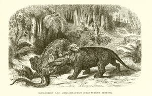 İguanodon ve Megalosaurus, Kretase Sistemi by English School