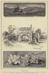 İllüstrasyon (gravür) by English School