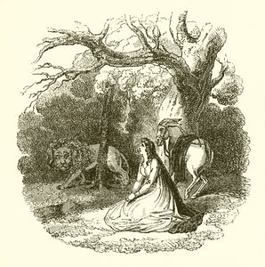 Faery Queene çizimi by English School
