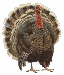 Bir Türkiye Resmi