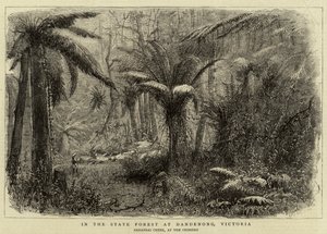Dandenong, Victoria