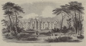 Bebek Yetim İltica, Snaresbrook (gravür) by English School