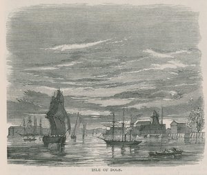Köpekler Adası by English School