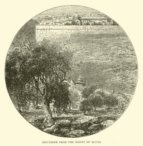 Zeytin Dağı