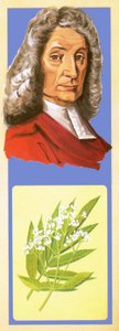 John Ray by English School