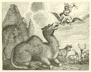 Jüpiter ve deve (gravür) by English School