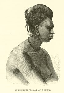 Medine