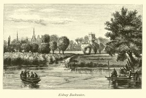 böbrek durgun by English School
