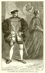 Kral Henry VIII, Konsey