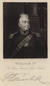Kral IV. William by English School