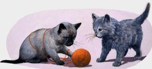 Bir yün yumağı ile oynayan yavru kedi