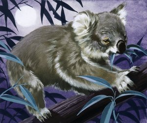 Sakız ağacında koala by English School