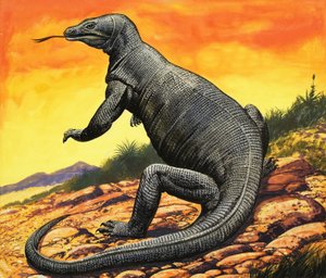Komodo Ejderhası by English School