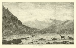 Ladakh Manzarası by English School