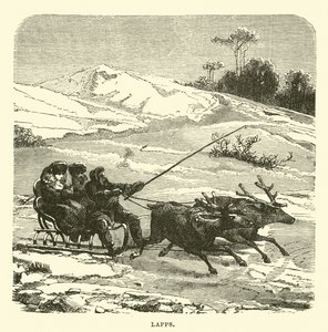 turlar by English School
