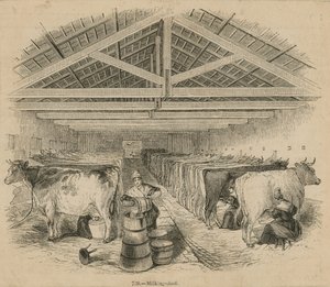 Temmuz 1841 tarihli Laycocks Süt Çiftliği by English School