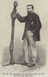 Henri Vicdan, "Belçikalı Walter Scott" (gravür) by English School