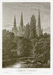Lichfield Katedrali by English School