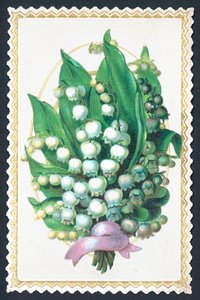 Vadideki Zambak Bitki, Kart by English School