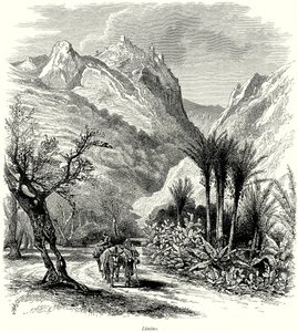 Limino (gravür) by English School