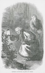 Linnaeus Gece Bitkileri İnceliyor (gravür) by English School