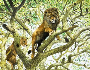 Ağaçta Aslan ve Dişi Aslan (kağıt üzerine guaj) by English School