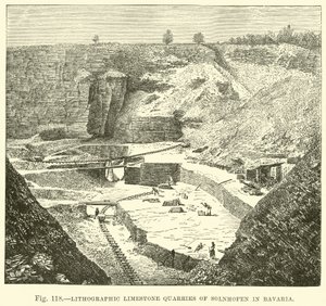 Bavyera