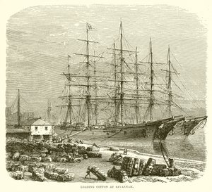 Savannah