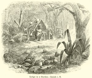 Bir Bahçede Orman Evi, İşaya, i, 8 by English School