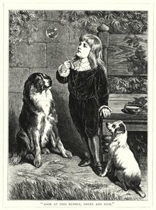 "Şu baloncuğa bakın, yeşil ve pembe" (gravür) by English School